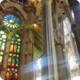 As Gaudi acknowledged, the structure that holds up the inside of the temple naves is like a tree - with the trunk, the branches, and a canopy of leaves as the ceiling.