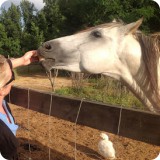 A life-long equestrian, Heather shares a special connection with Spartacus - the gray dapple stallion who lives in the garden corral, and is used to plow fields.