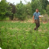 Ricard, who lives at the monastery, is in charge of the garden, orchards, and animals.  He works hard to nurture the produce, and leads a mentoring program to teach sustainable agriculture.