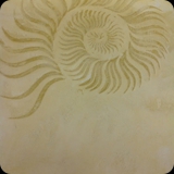 249  Venetian Plaster with Fossilized Ornament