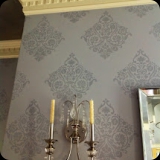 138  Detail - Hand-painted Damask Overall Finish with Metallic Silver Ceiling.