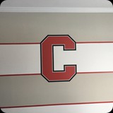45  Hand-painted Horizontal Stripes with Cornell University Logo Centered on Feature Wall